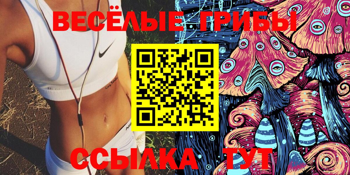 Галлюциногенные грибы мицелий Волхов