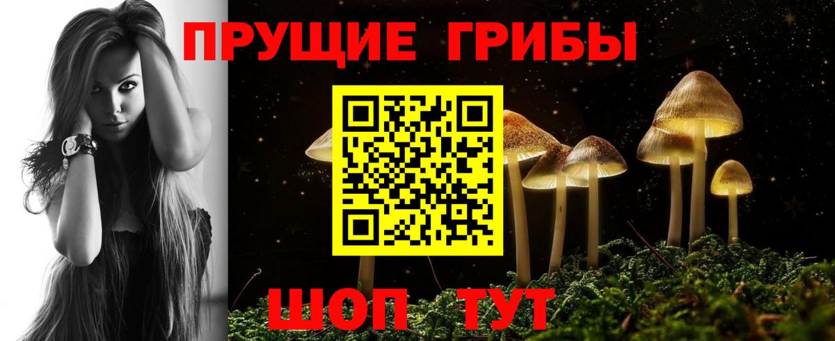 Волхов  Галлюциногенные грибы ЛСД  Галлюциногенные грибы Psilocybe  Вход с VPN 